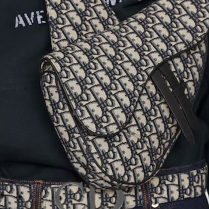 Dior Saddle Bag